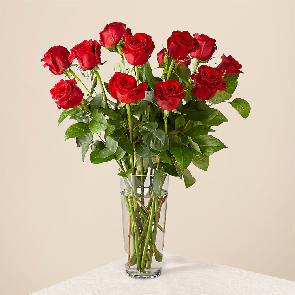 Long Stem Red Rose Bouquet – CAMPBELL ROSES & PLANTS LTD CO, Fort Campbell KY