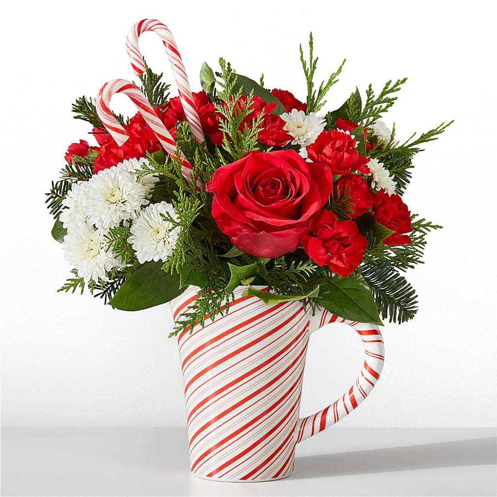 Peppermint Swirl Mug – CAMPBELL ROSES & PLANTS LTD CO, Fort Campbell KY