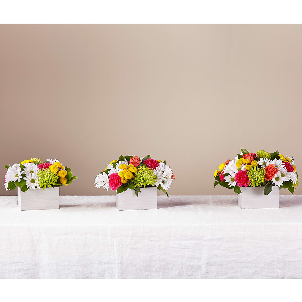 Sorbet Bouquet – CAMPBELL ROSES & PLANTS LTD CO, Fort Campbell KY
