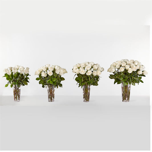 Long Stem White Rose Bouquet – CAMPBELL ROSES & PLANTS LTD CO, Fort Campbell KY
