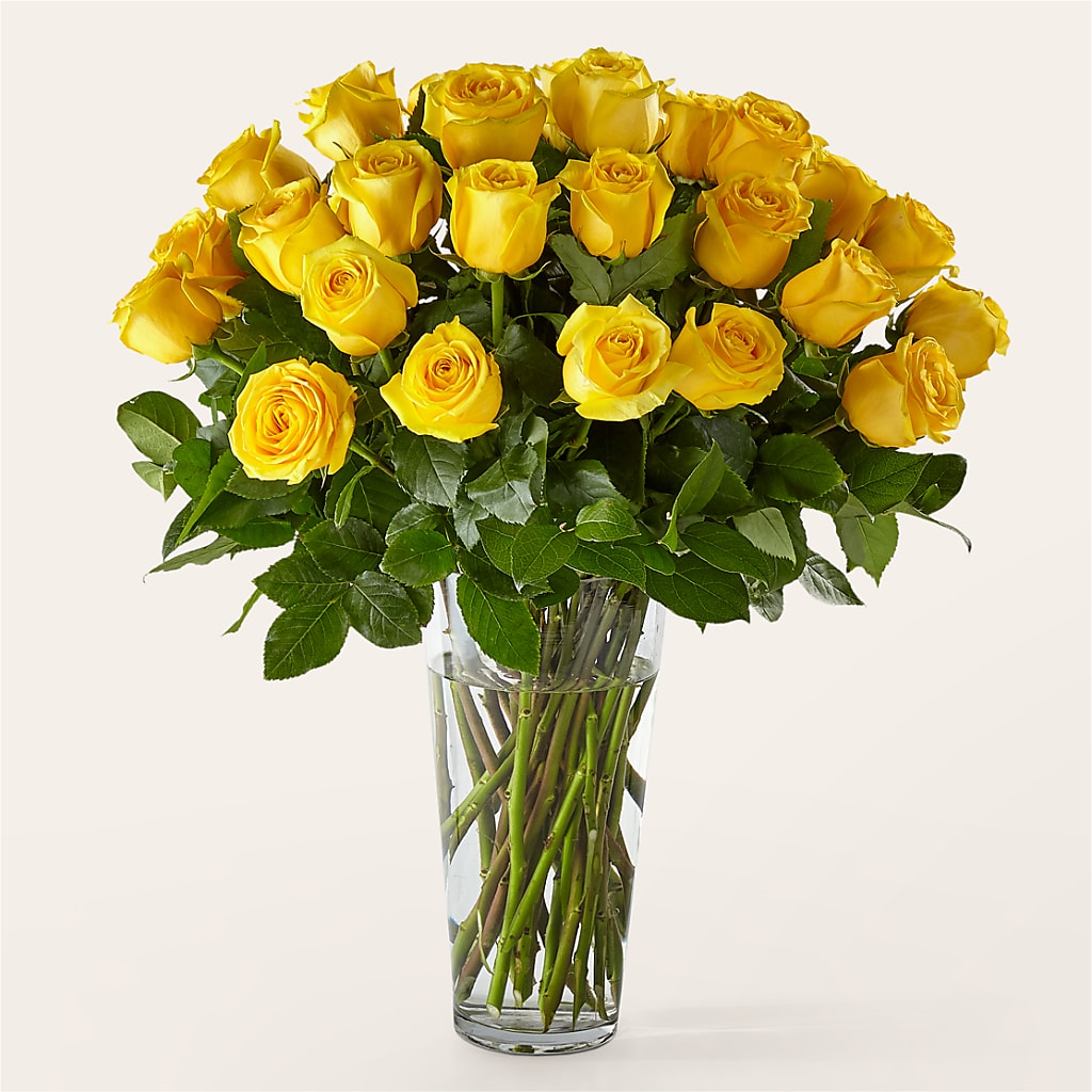 Long Stem Yellow Rose Bouquet – CAMPBELL ROSES & PLANTS LTD CO, Fort Campbell KY