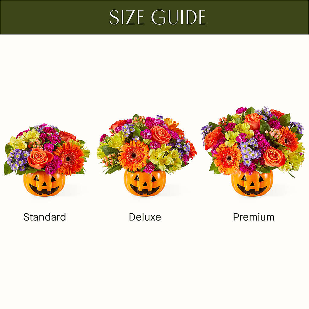 Tricks & Treats Pumpkin – CAMPBELL ROSES & PLANTS LTD CO, Fort Campbell KY