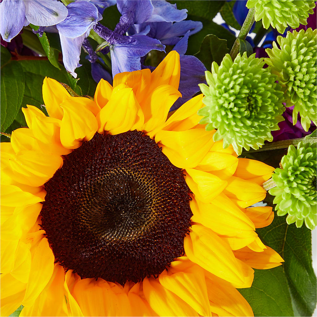 Catching Rays Bouquet – CAMPBELL ROSES & PLANTS LTD CO, Fort Campbell KY