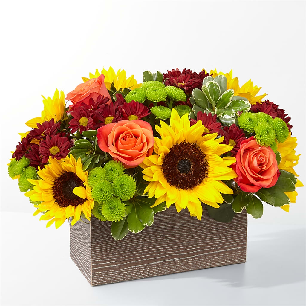 Happy Harvest Garden – CAMPBELL ROSES & PLANTS LTD CO, Fort Campbell KY