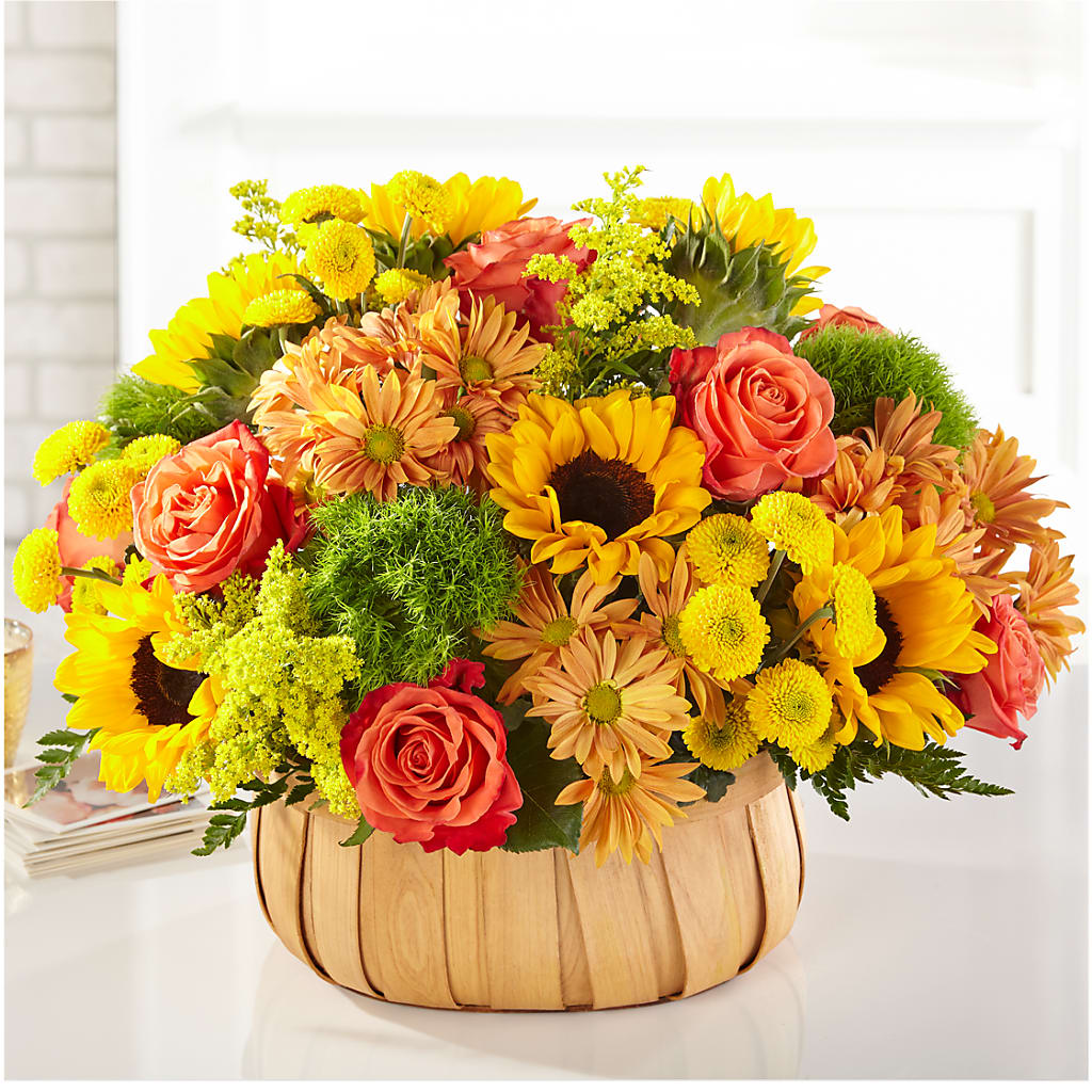 Harvest Sunflower Basket – CAMPBELL ROSES & PLANTS LTD CO, Fort Campbell KY