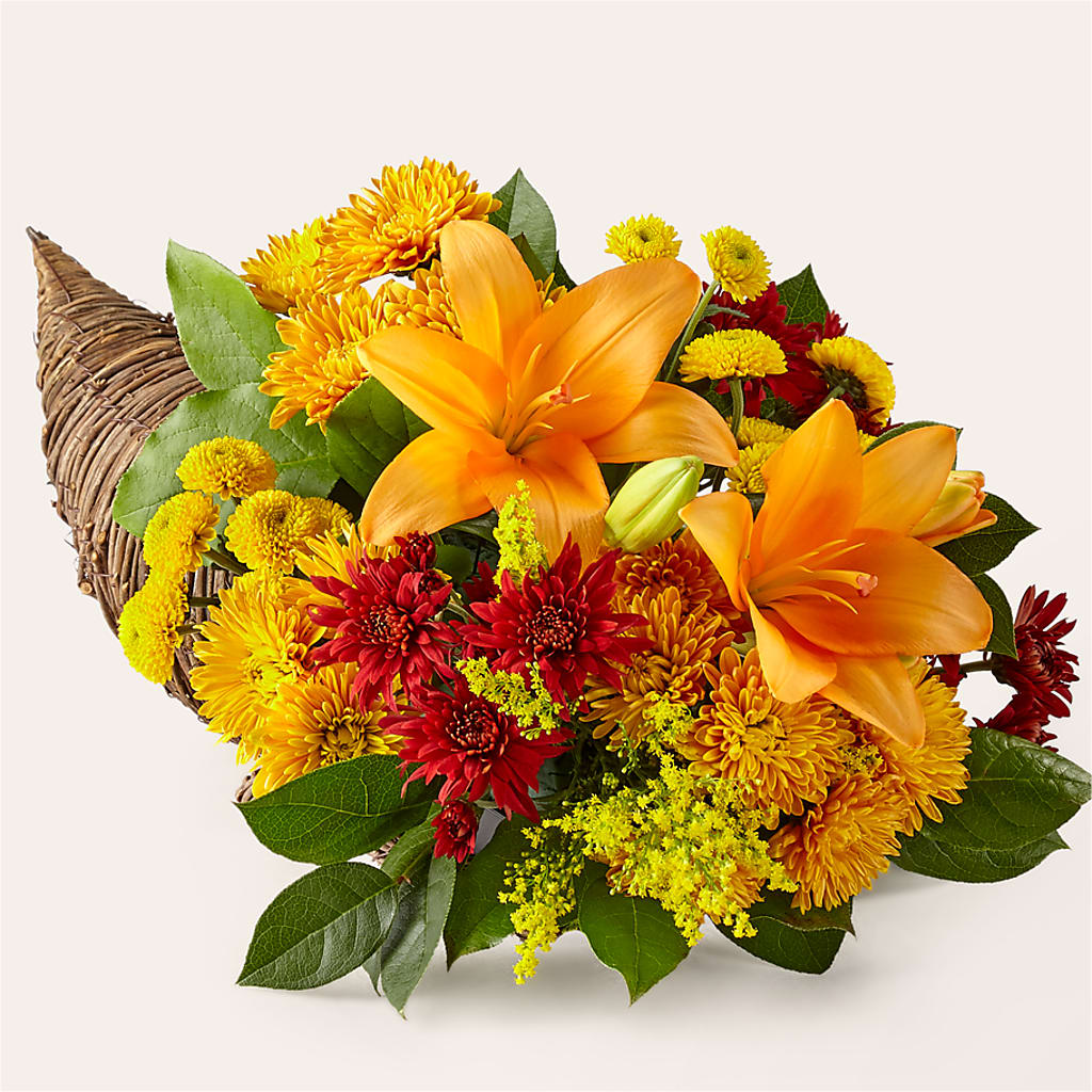 Feast of Color Cornucopia – CAMPBELL ROSES & PLANTS LTD CO, Fort Campbell KY