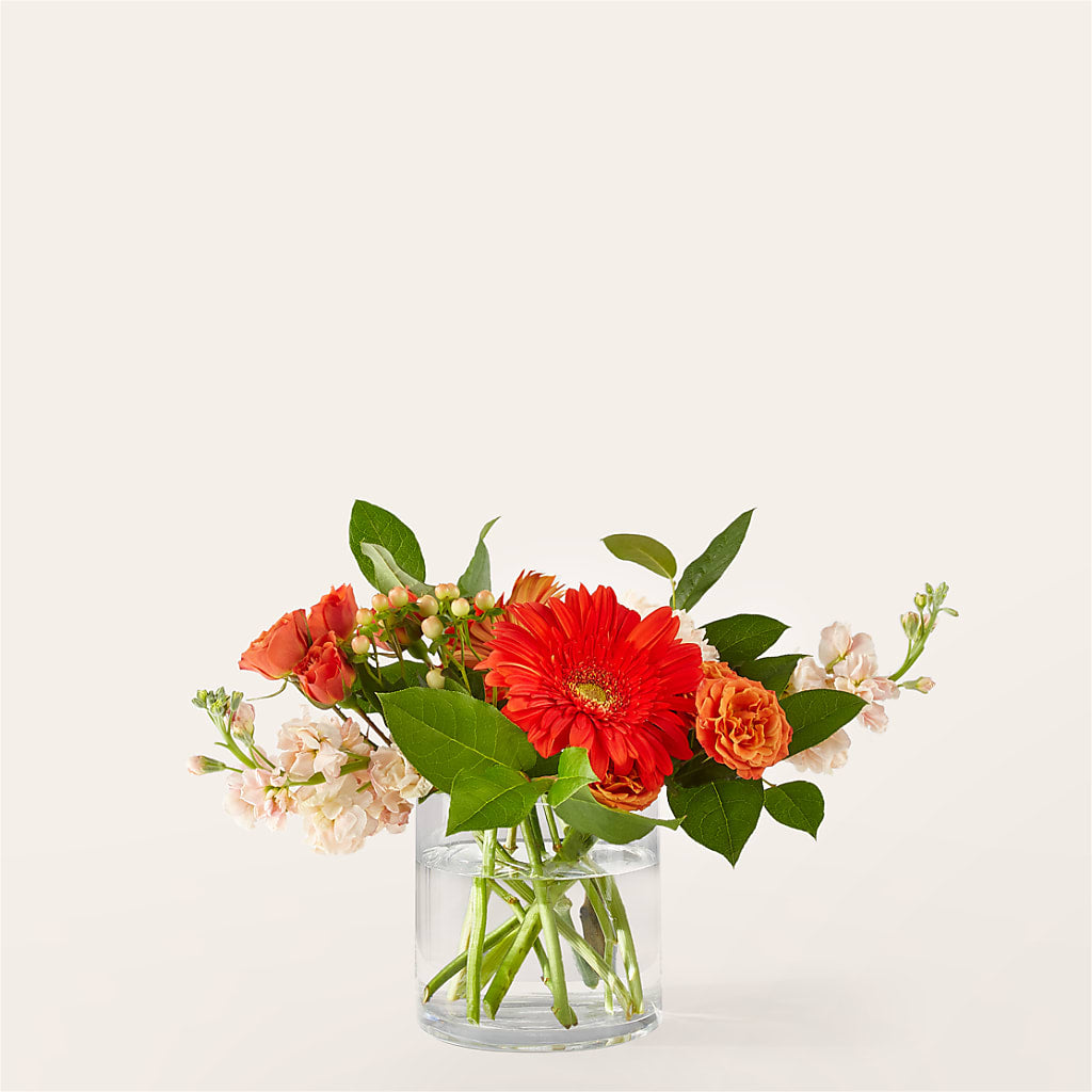 Paloma Please Bouquet – CAMPBELL ROSES & PLANTS LTD CO, Fort Campbell KY