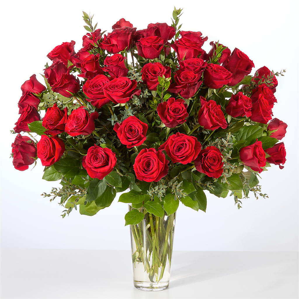 Forever Yours Fifty Stem Red Rose Bouquet – CAMPBELL ROSES & PLANTS LTD CO, Fort Campbell KY