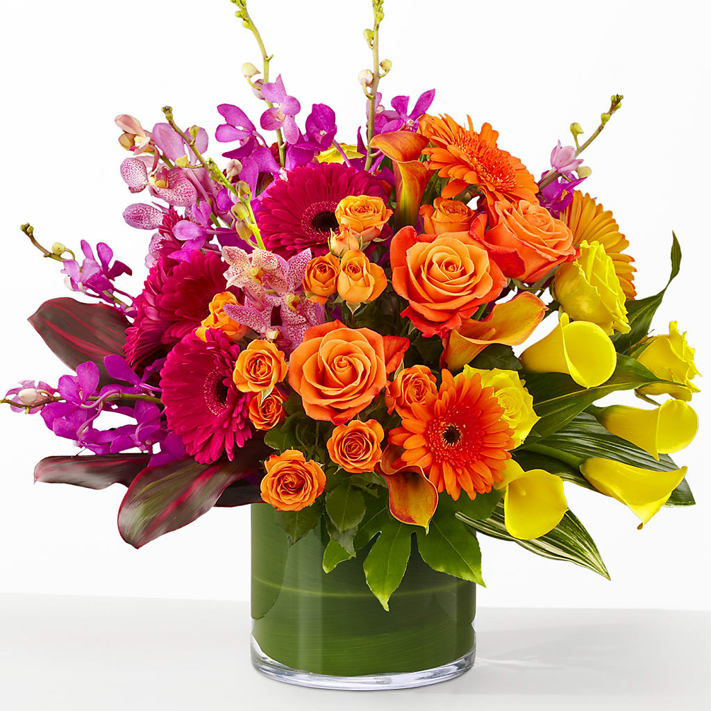 The Mosaic – CAMPBELL ROSES & PLANTS LTD CO, Fort Campbell KY