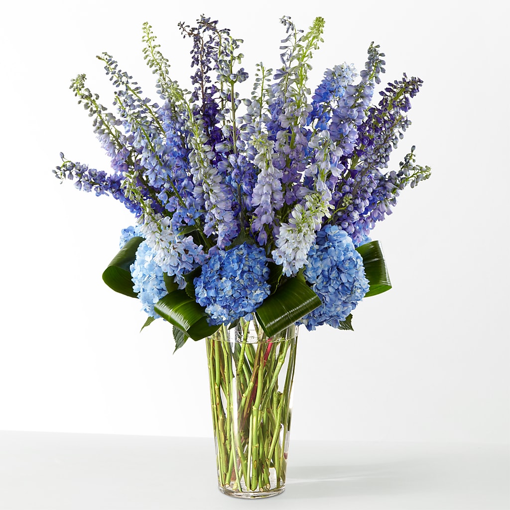 The Editorial – CAMPBELL ROSES & PLANTS LTD CO, Fort Campbell KY