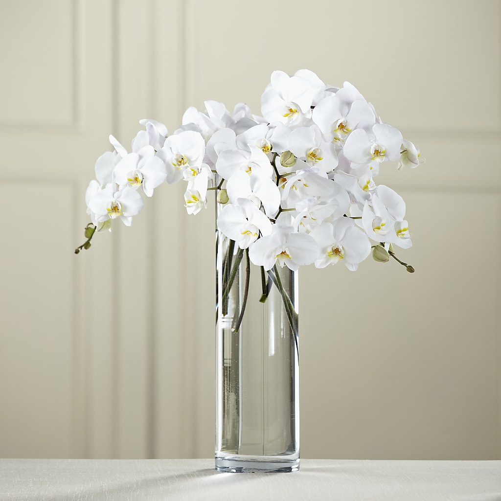 White Phalaenopsis Bouquet – CAMPBELL ROSES & PLANTS LTD CO, Fort Campbell KY