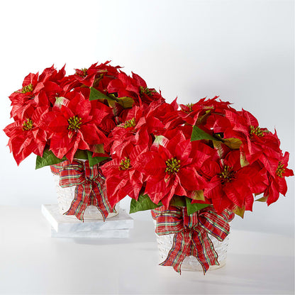 Happiest Holidays Poinsettia Bundle – CAMPBELL ROSES & PLANTS LTD CO, Fort Campbell KY
