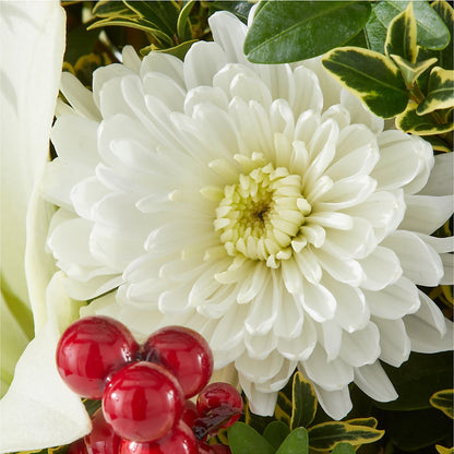 Festive Moments Tree – CAMPBELL ROSES & PLANTS LTD CO, Fort Campbell KY