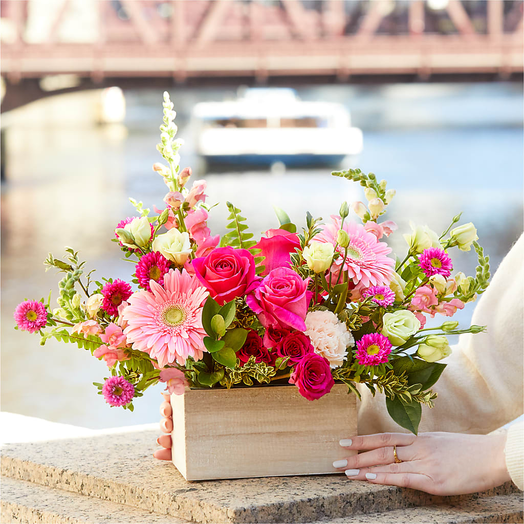 Too Cute Bouquet – CAMPBELL ROSES & PLANTS LTD CO, Fort Campbell KY