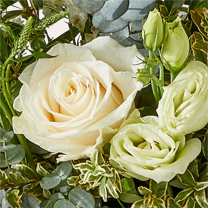 Cashmere Bouquet – CAMPBELL ROSES & PLANTS LTD CO, Fort Campbell KY