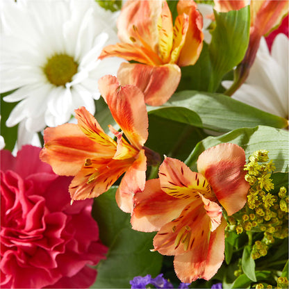 Oopsie Daisy Box Bouquet – CAMPBELL ROSES & PLANTS LTD CO, Fort Campbell KY