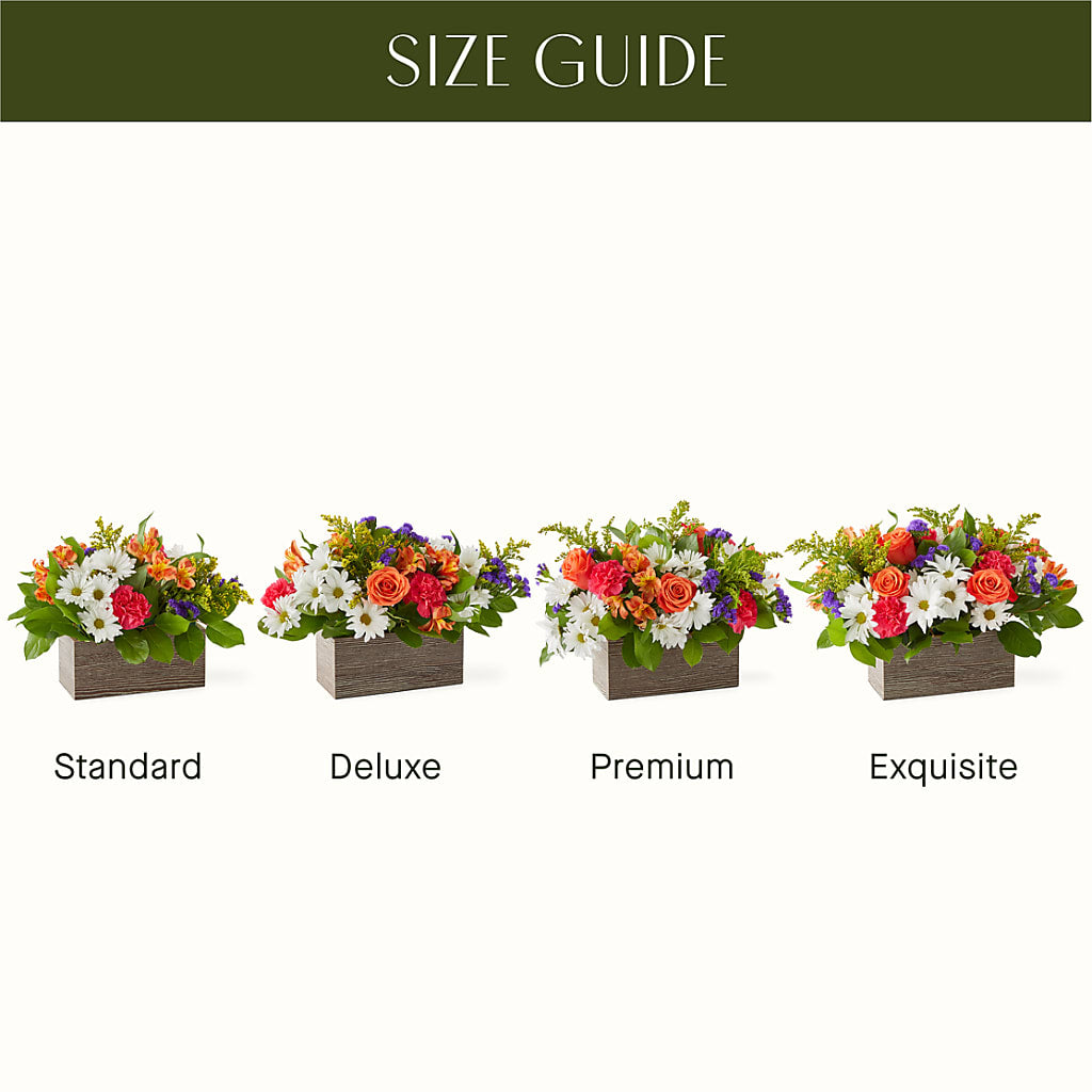 Oopsie Daisy Box Bouquet – CAMPBELL ROSES & PLANTS LTD CO, Fort Campbell KY