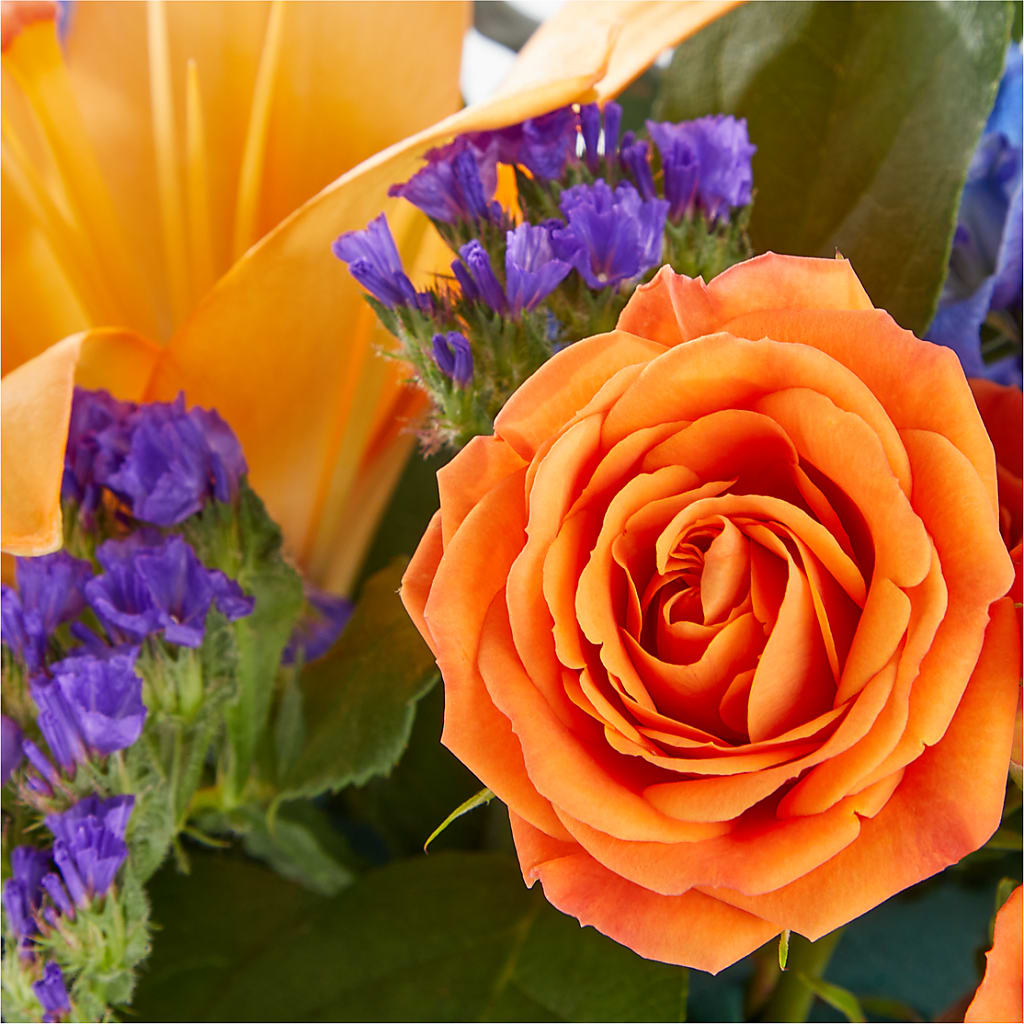 Radiant Citrus Box Bouquet – CAMPBELL ROSES & PLANTS LTD CO, Fort Campbell KY