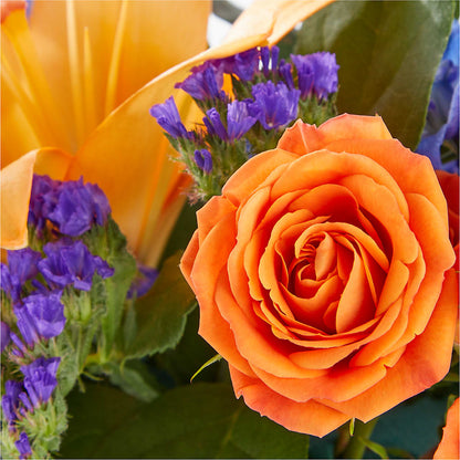 Radiant Citrus Box Bouquet – CAMPBELL ROSES & PLANTS LTD CO, Fort Campbell KY
