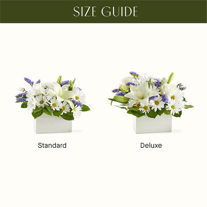 Beyond Blue Box Bouquet – CAMPBELL ROSES & PLANTS LTD CO, Fort Campbell KY