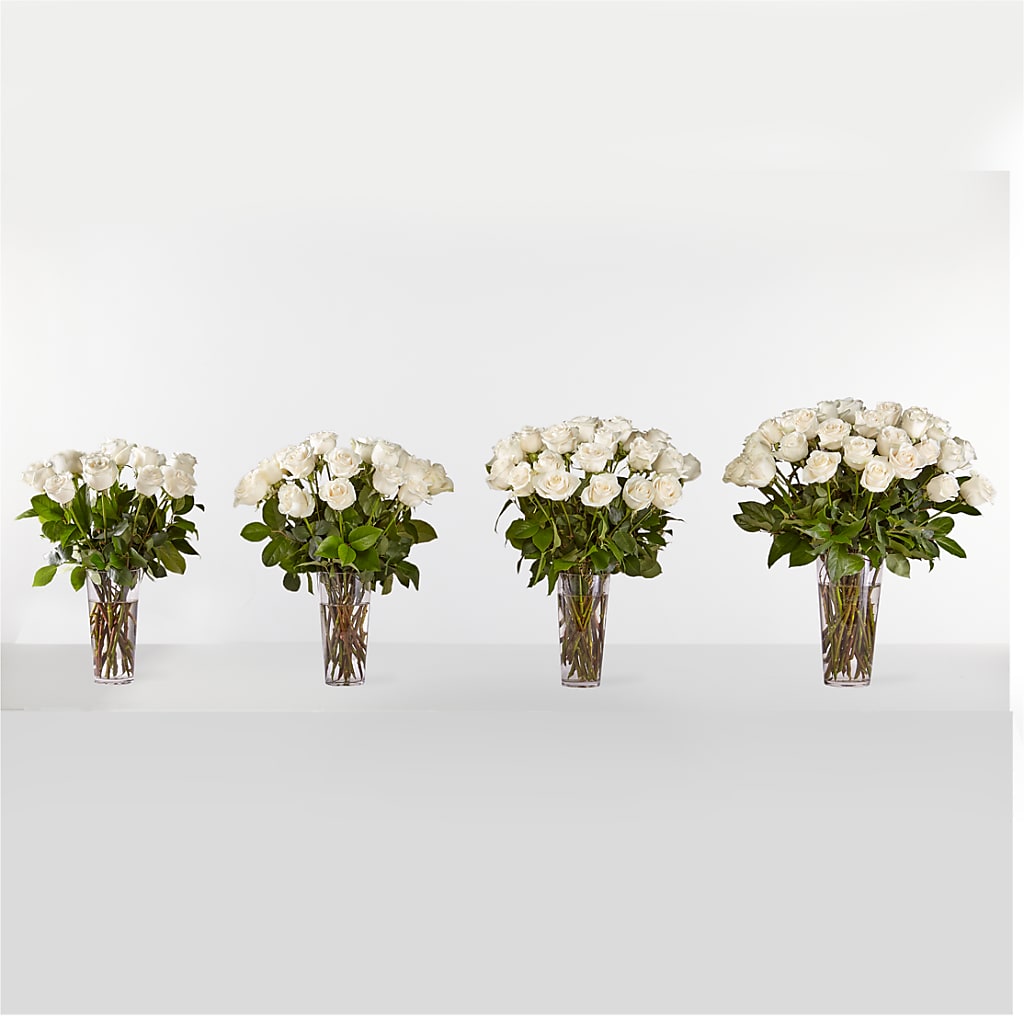 Long Stem White Rose Bouquet – CAMPBELL ROSES & PLANTS LTD CO, Fort Campbell KY