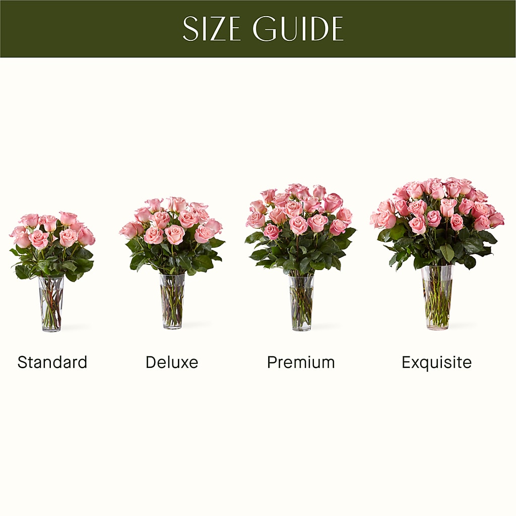 Long Stem Pink Rose Bouquet – CAMPBELL ROSES & PLANTS LTD CO, Fort Campbell KY