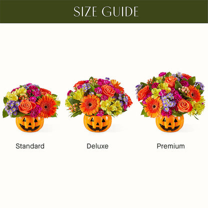 Tricks & Treats Pumpkin – CAMPBELL ROSES & PLANTS LTD CO, Fort Campbell KY