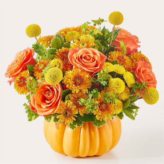 Gourdgeous Pumpkin – CAMPBELL ROSES & PLANTS LTD CO, Fort Campbell KY