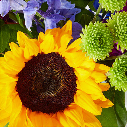 Catching Rays Bouquet – CAMPBELL ROSES & PLANTS LTD CO, Fort Campbell KY