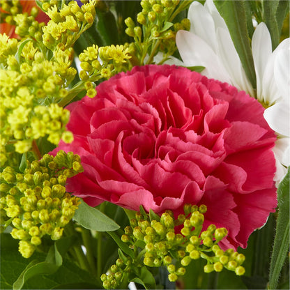 Oopsie Daisy Bouquet – CAMPBELL ROSES & PLANTS LTD CO, Fort Campbell KY