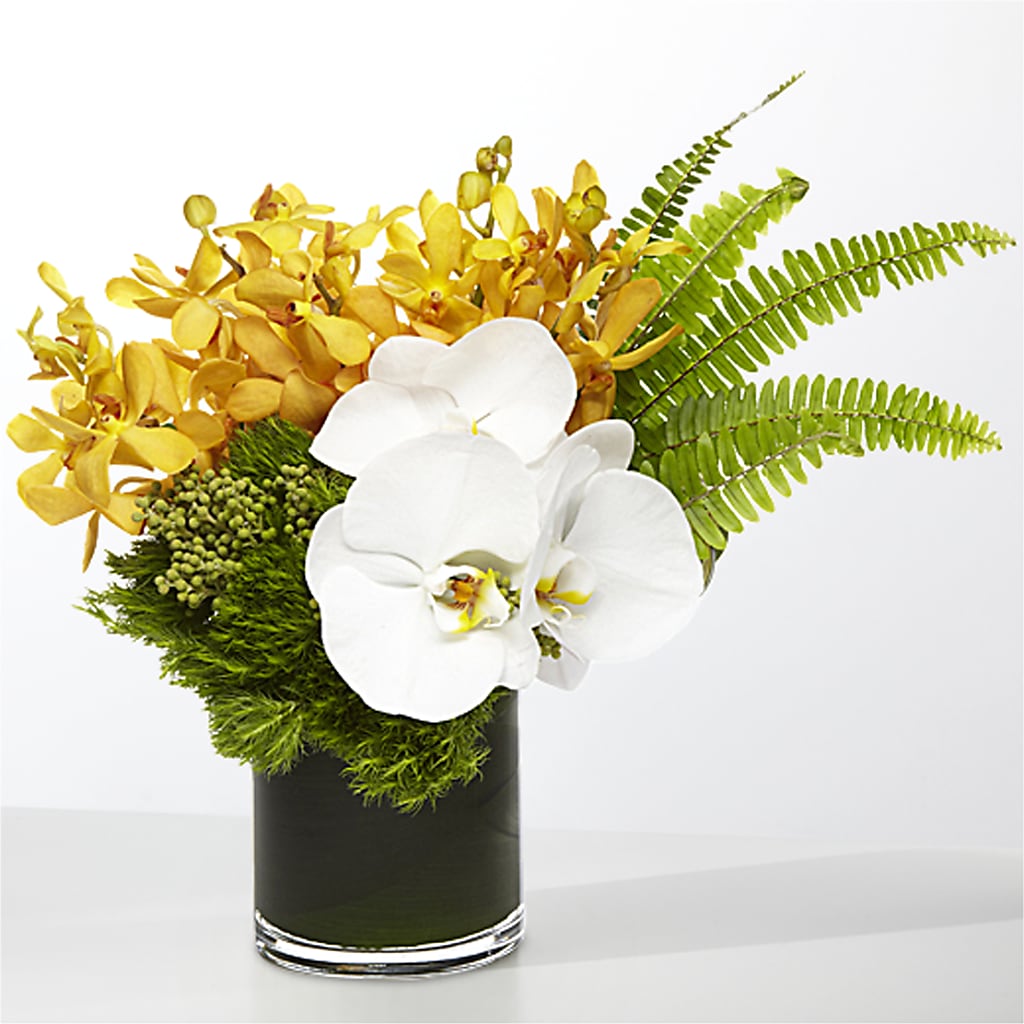 The Tropics – CAMPBELL ROSES & PLANTS LTD CO, Fort Campbell KY
