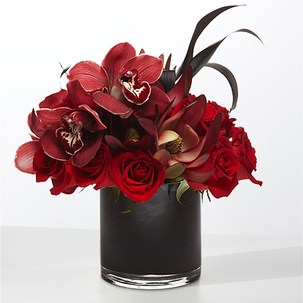 The Eclipse – CAMPBELL ROSES & PLANTS LTD CO, Fort Campbell KY