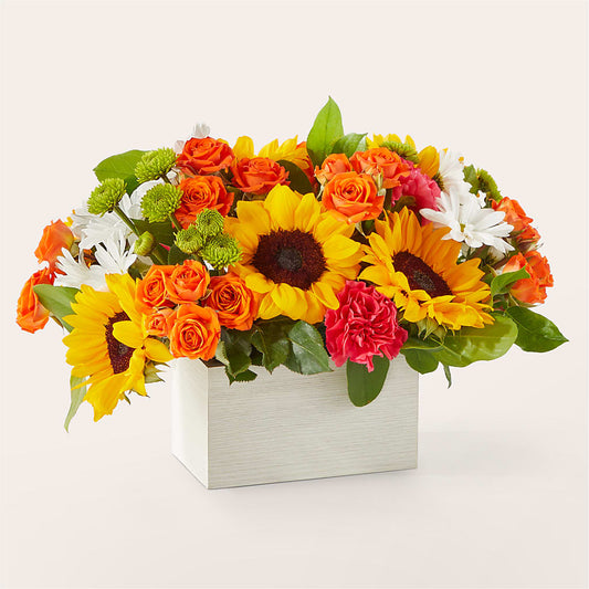 Sun-drenched Blooms Box Bouquet – CAMPBELL ROSES & PLANTS LTD CO, Fort Campbell KY