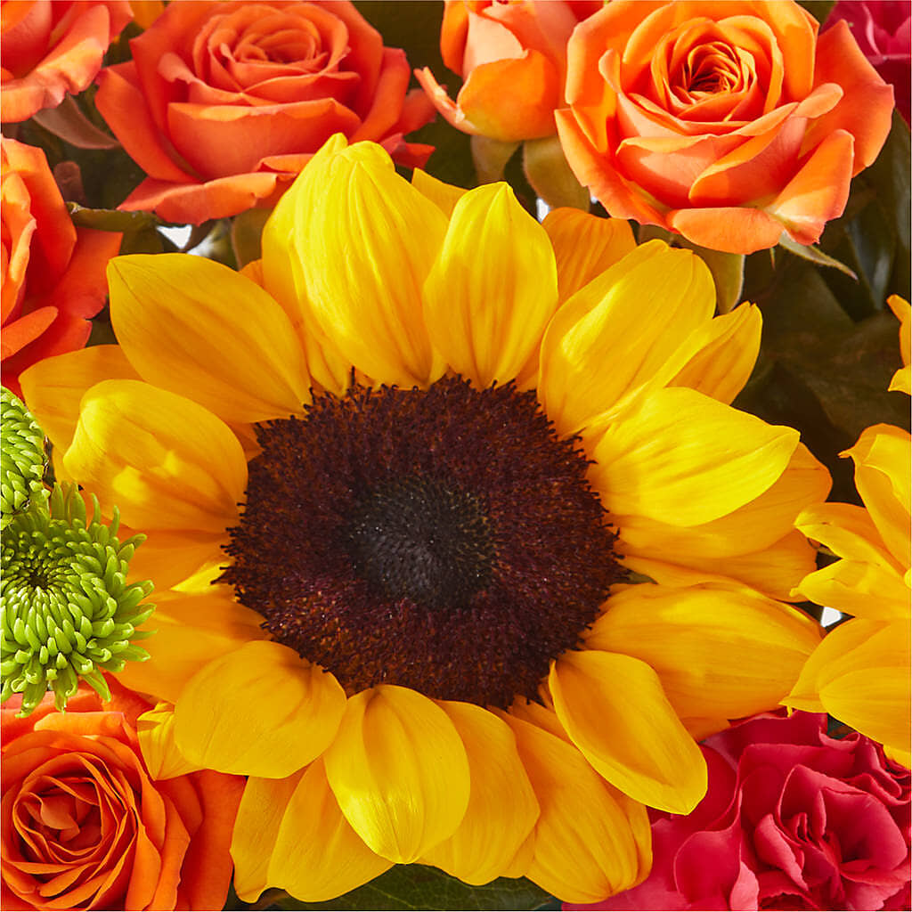 Sun-drenched Blooms Box Bouquet – CAMPBELL ROSES & PLANTS LTD CO, Fort Campbell KY