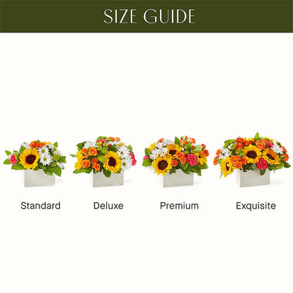 Sun-drenched Blooms Box Bouquet – CAMPBELL ROSES & PLANTS LTD CO, Fort Campbell KY