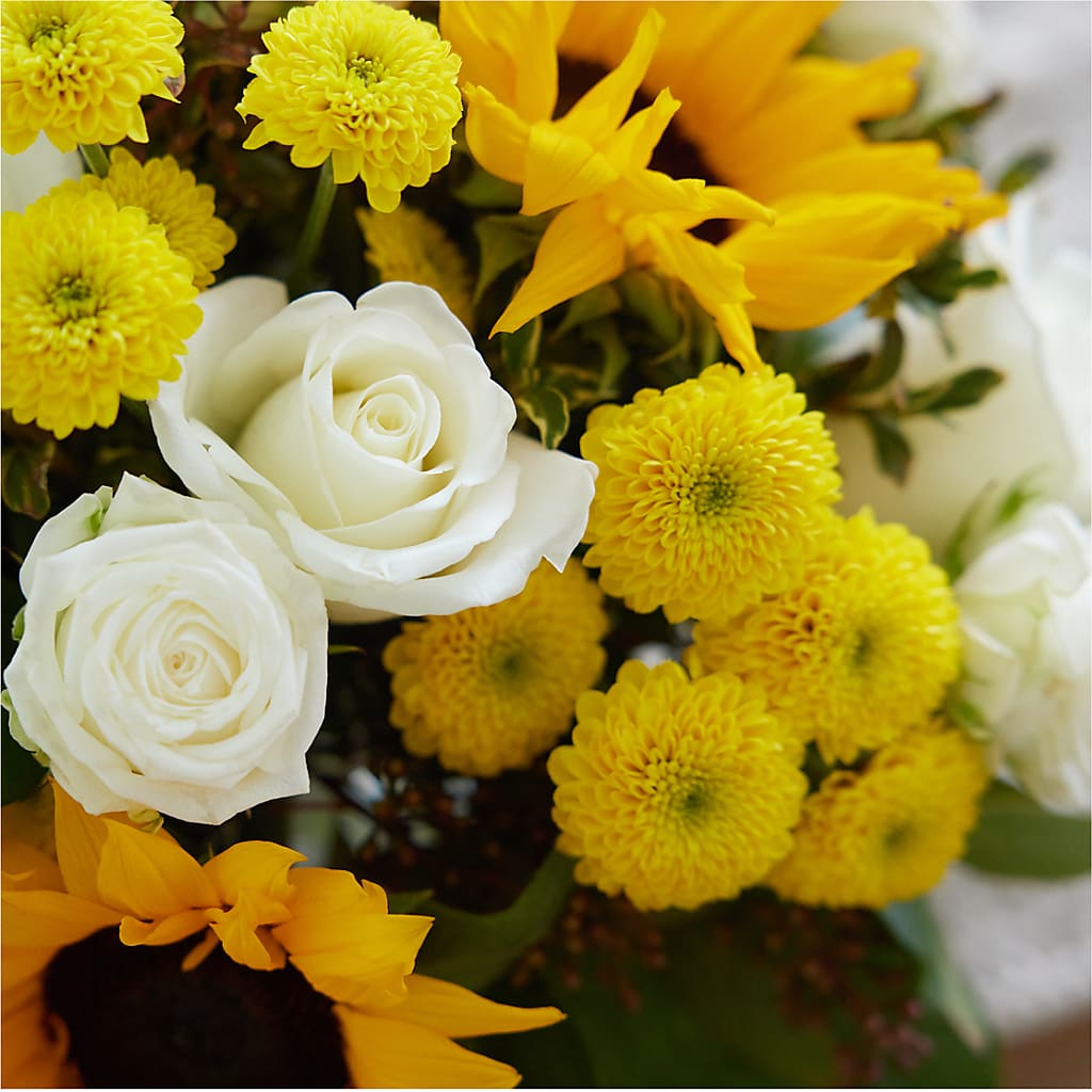 Luminous Morning Bouquet – CAMPBELL ROSES & PLANTS LTD CO, Fort Campbell KY