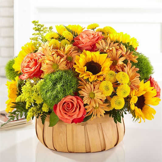 Harvest Sunflower Basket – CAMPBELL ROSES & PLANTS LTD CO, Fort Campbell KY
