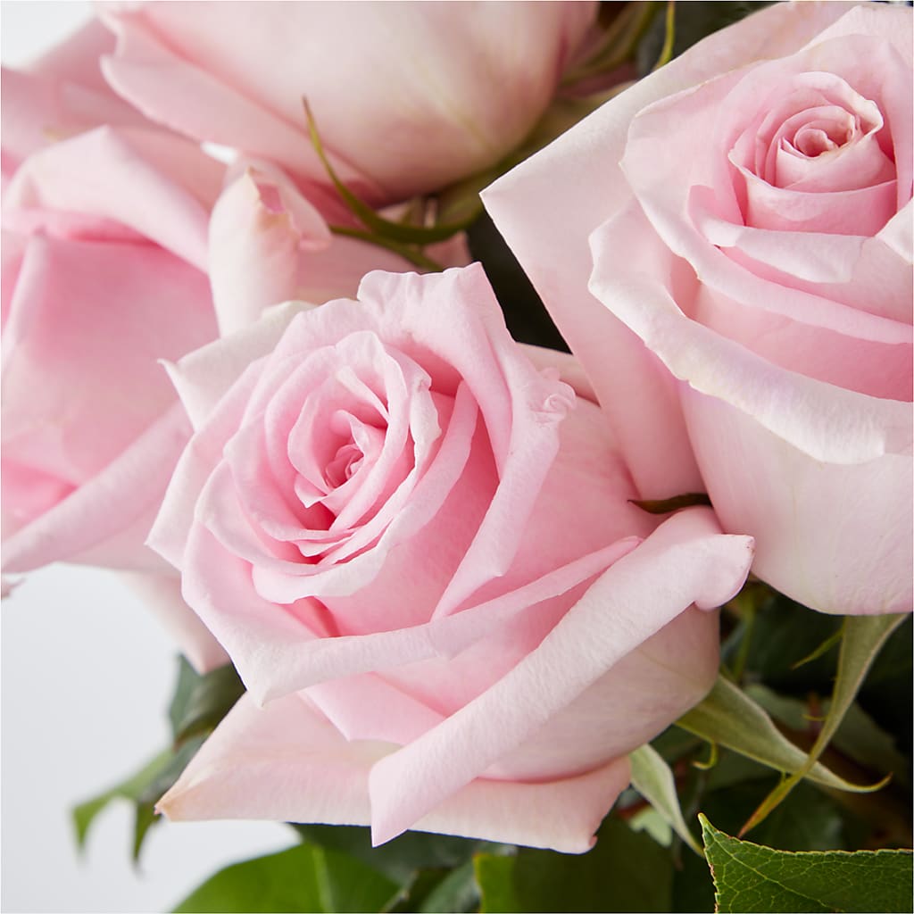 Picture Perfect Pink Rose Bouquet – CAMPBELL ROSES & PLANTS LTD CO, Fort Campbell KY