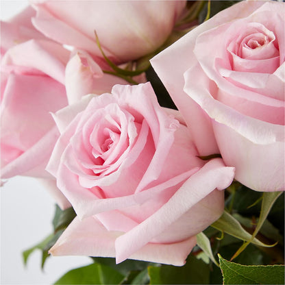 Picture Perfect Pink Rose Bouquet – CAMPBELL ROSES & PLANTS LTD CO, Fort Campbell KY