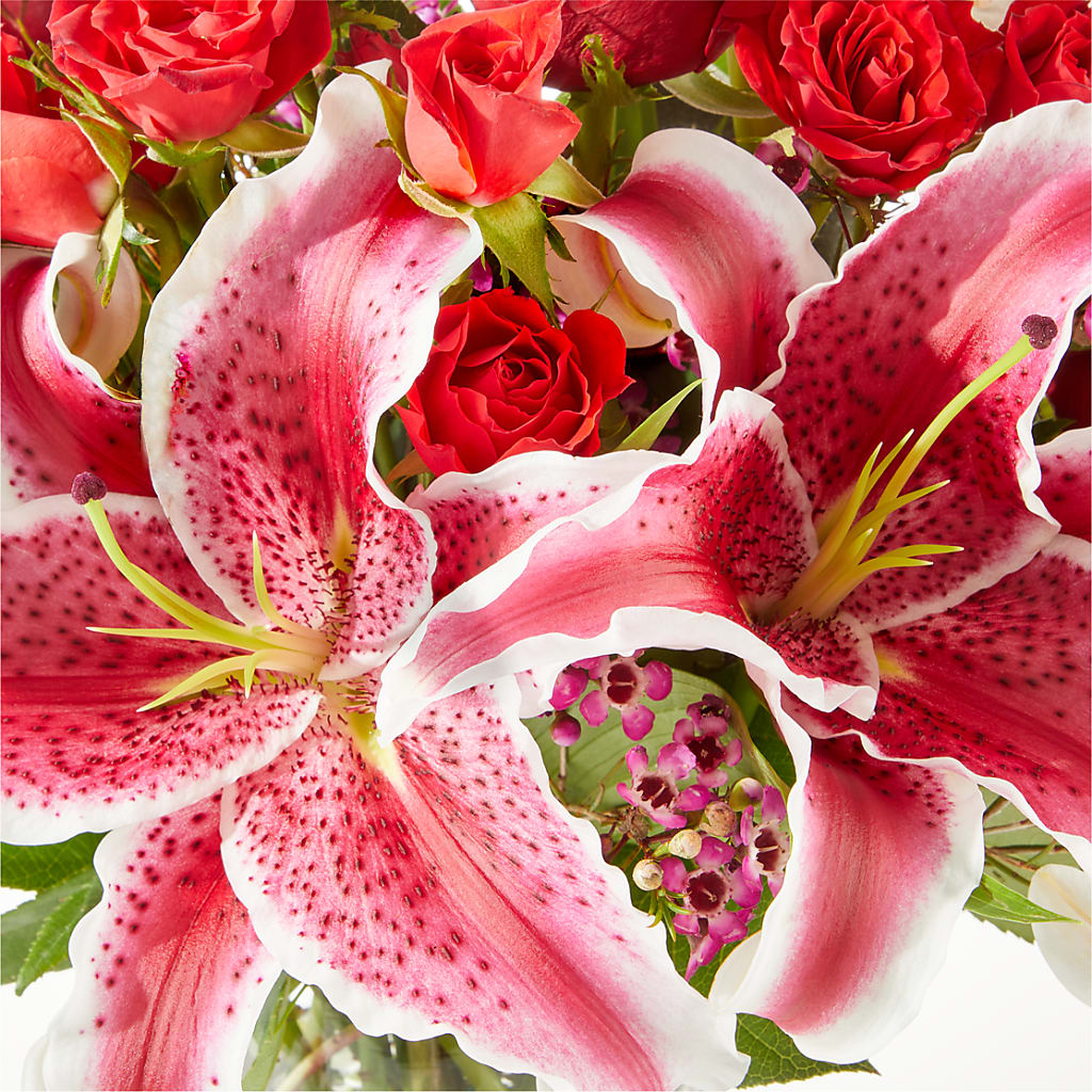 Match Made in Heaven Bouquet – CAMPBELL ROSES & PLANTS LTD CO, Fort Campbell KY