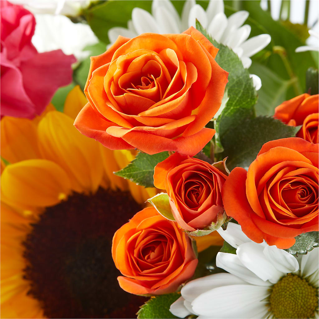 Sun-drenched Blooms Bouquet – CAMPBELL ROSES & PLANTS LTD CO, Fort Campbell KY