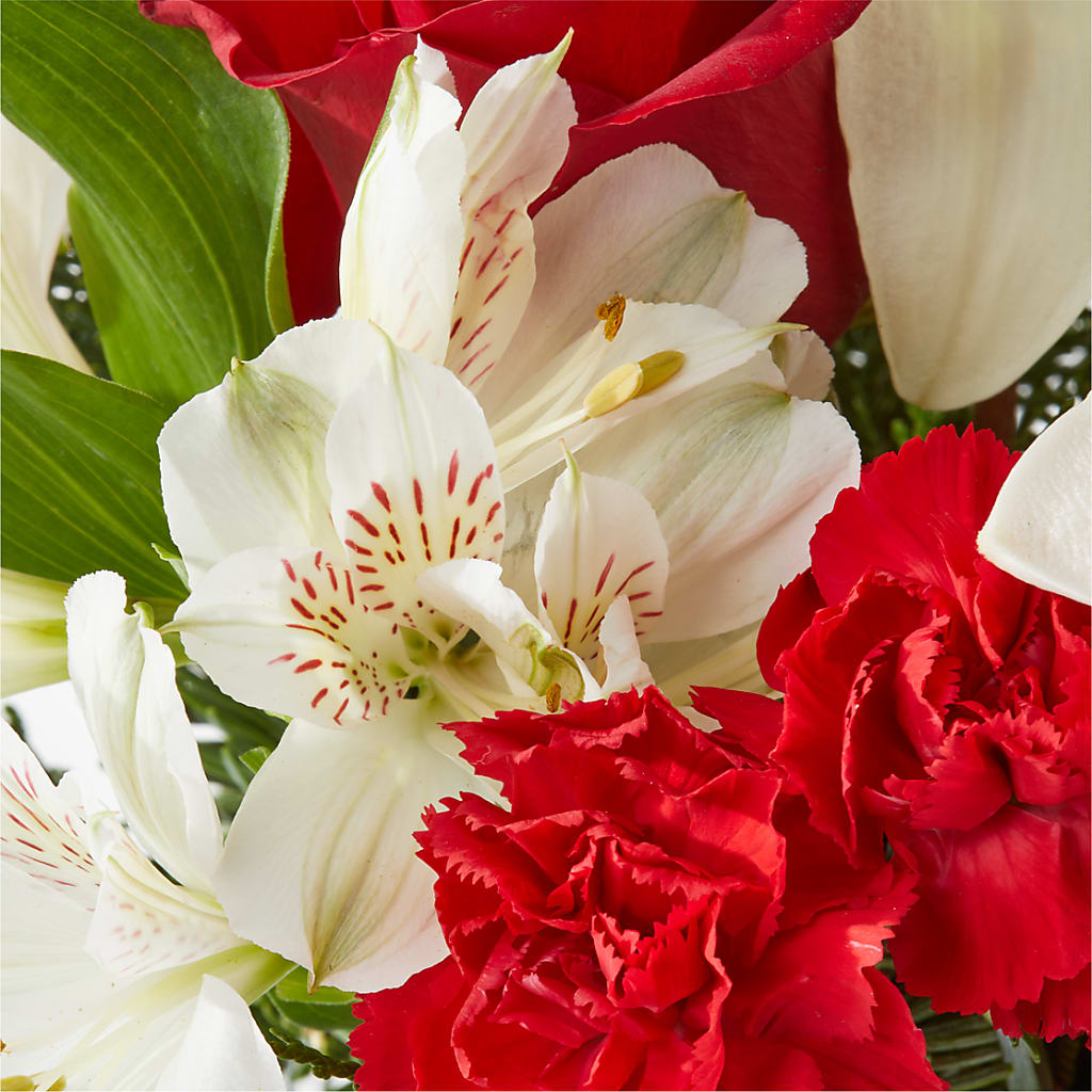 Holiday Season Bouquet – CAMPBELL ROSES & PLANTS LTD CO, Fort Campbell KY