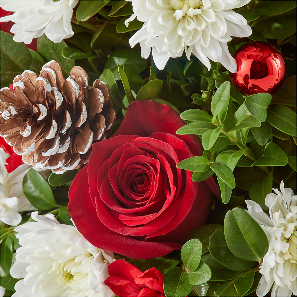 Let It Snow Tree – CAMPBELL ROSES & PLANTS LTD CO, Fort Campbell KY