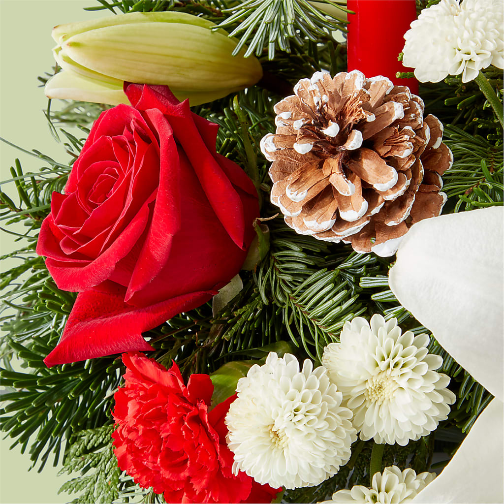 Seasonal Festivities Centerpiece – CAMPBELL ROSES & PLANTS LTD CO, Fort Campbell KY
