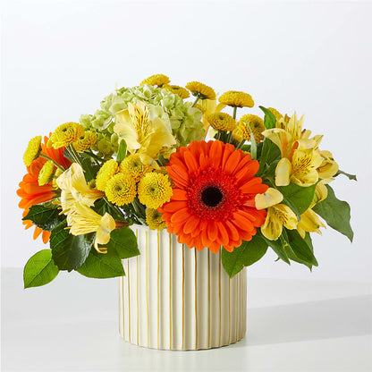 Autumn Sunshine Bouquet with Ivory Vase – CAMPBELL ROSES & PLANTS LTD CO, Fort Campbell KY