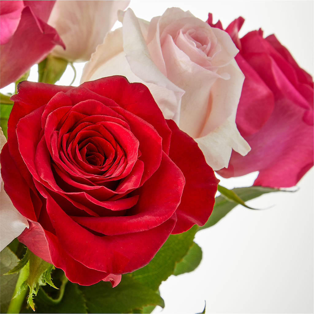 Charming Rose Bouquet – CAMPBELL ROSES & PLANTS LTD CO, Fort Campbell KY
