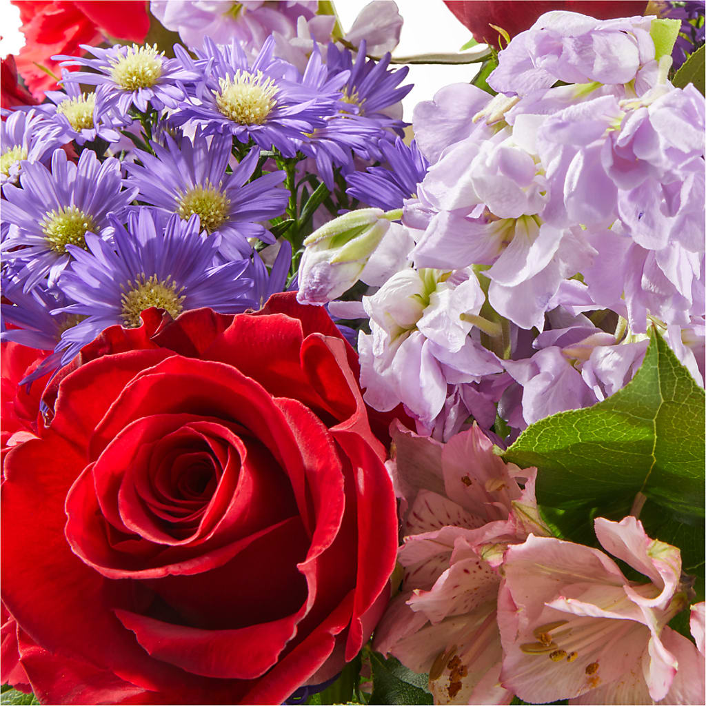 Your Majesty Bouquet – CAMPBELL ROSES & PLANTS LTD CO, Fort Campbell KY