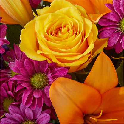 Colorful Visions Bouquet – CAMPBELL ROSES & PLANTS LTD CO, Fort Campbell KY