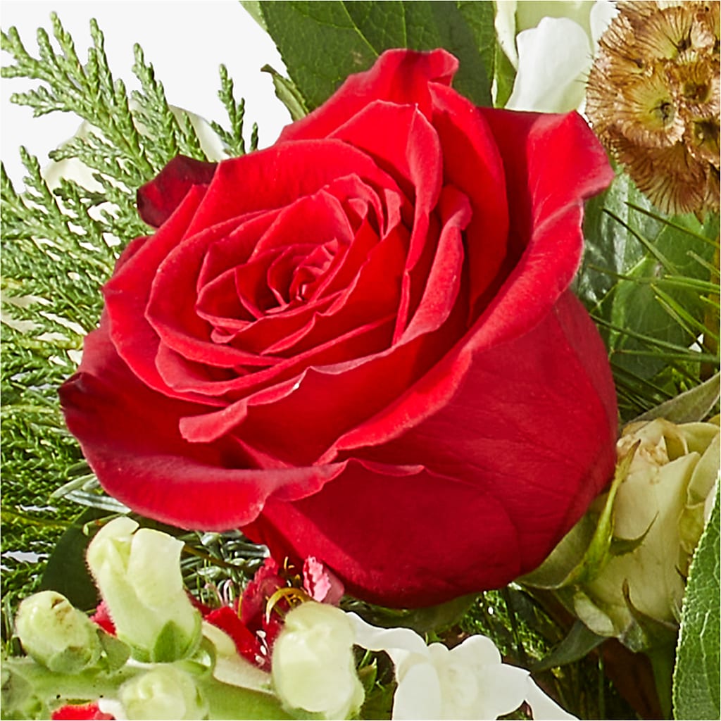 Deck the Halls Bouquet – CAMPBELL ROSES & PLANTS LTD CO, Fort Campbell KY