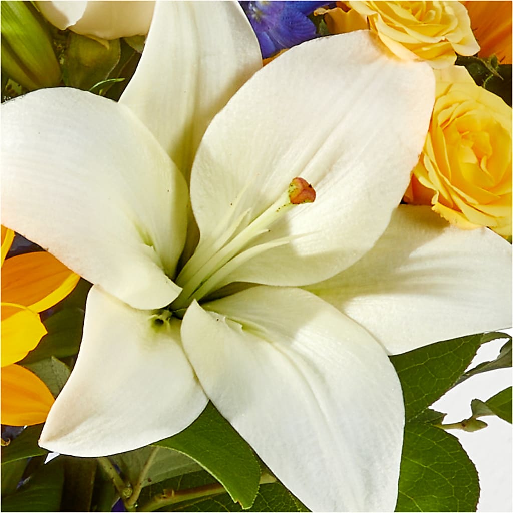 Wonderfully Sunny Bouquet – CAMPBELL ROSES & PLANTS LTD CO, Fort Campbell KY